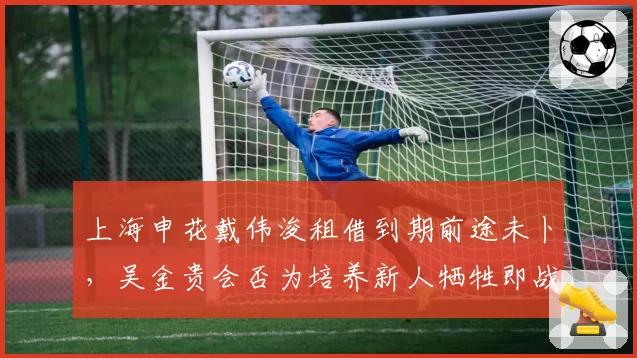 上海申花戴伟浚租借到期前途未卜，吴金贵会否为培养新人牺牲即战力？