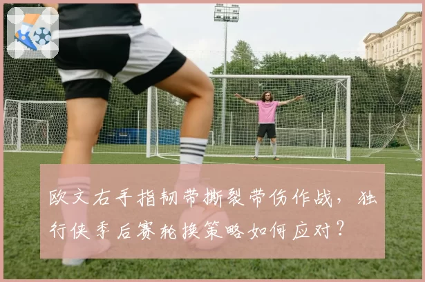 欧文右手指韧带撕裂带伤作战,独行侠季后赛轮换策略如何应对?