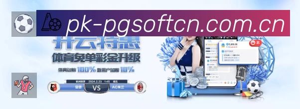 看点解析